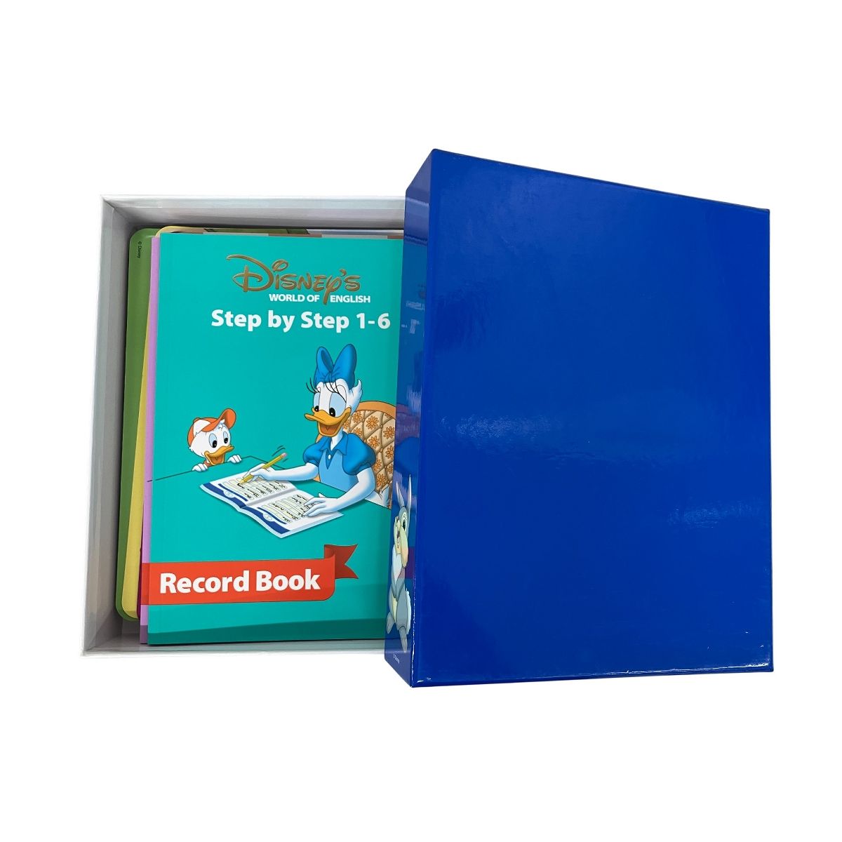 DWE ディズニーワールドオブイングリッシュ 2017年頃 DVD版 欠品多数