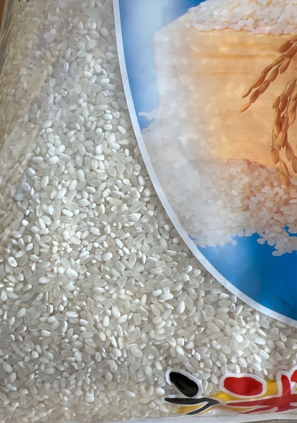 送料無料】令和7年度産 う米とこ獲り 10kg - メルカリ