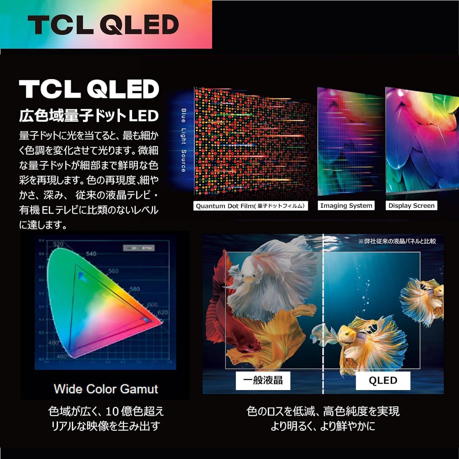 TCL 75 V型 テレビ チューナーレス 4 K液晶 144 Hz 倍速 量子ドット ゲーミング C 745 地上波受信なし freesync premium pro ネット動画対応 Google 12畳〜16畳 チューナーレステレビ