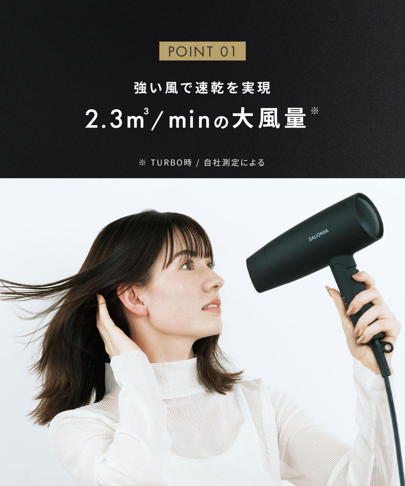 スピーディーイオン ドライヤー