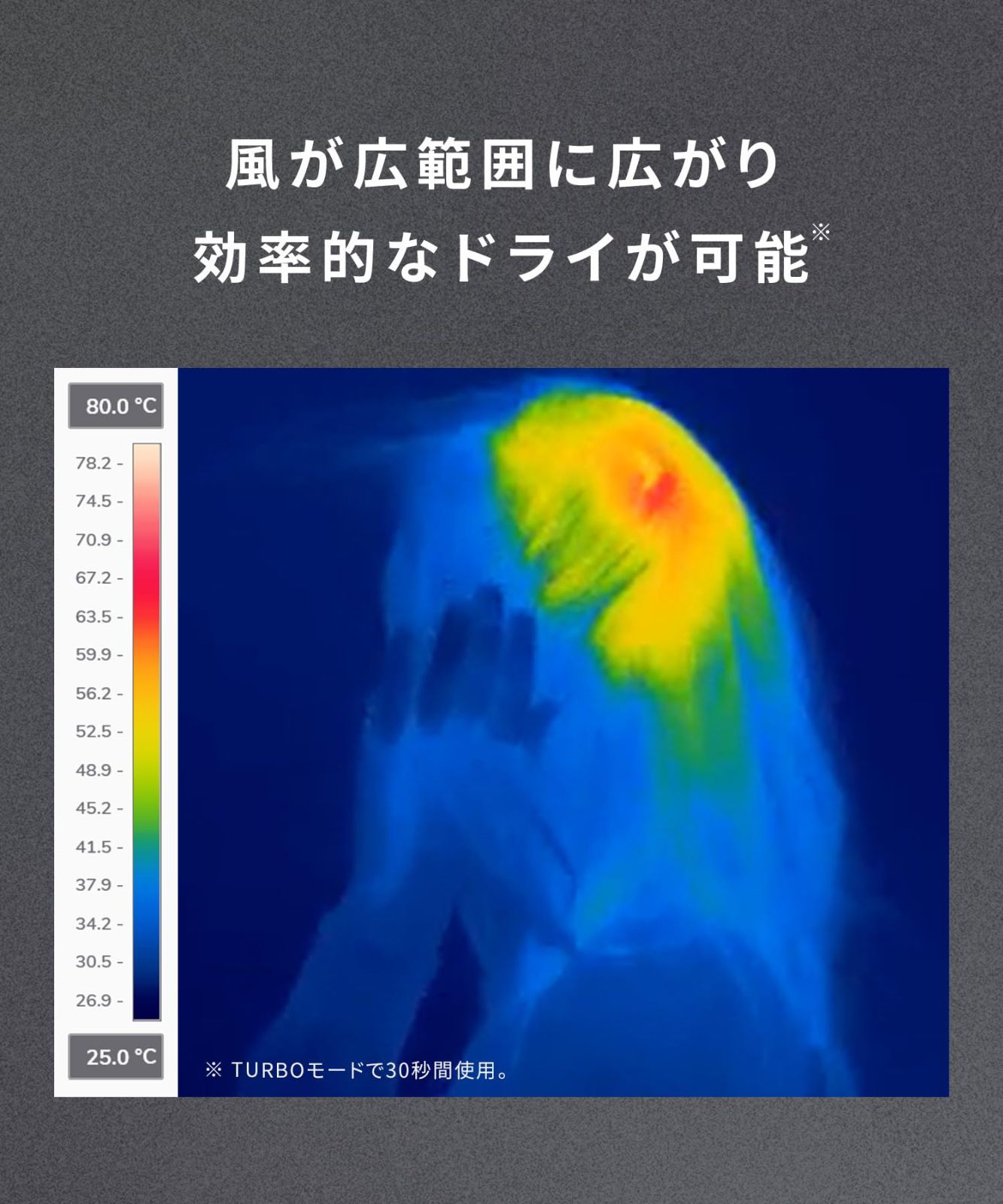スピーディーイオン ドライヤー 大風量 サロニア 速乾 軽量 マイナスイオン SALONIA ヘアドライヤー SL 013 ABE ベージュ