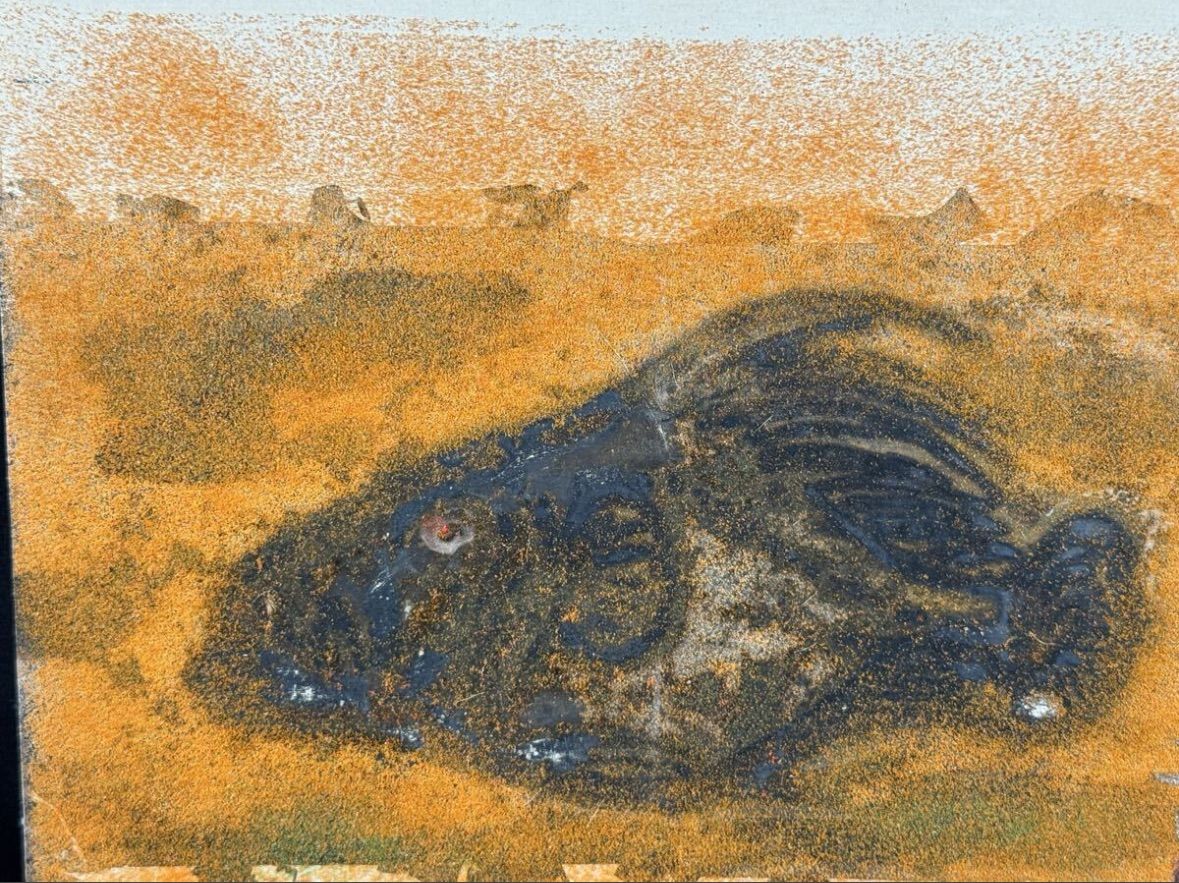 山崎忠明「鰈」日本画 2号 銀落款 共シール 日展会友 - メルカリ