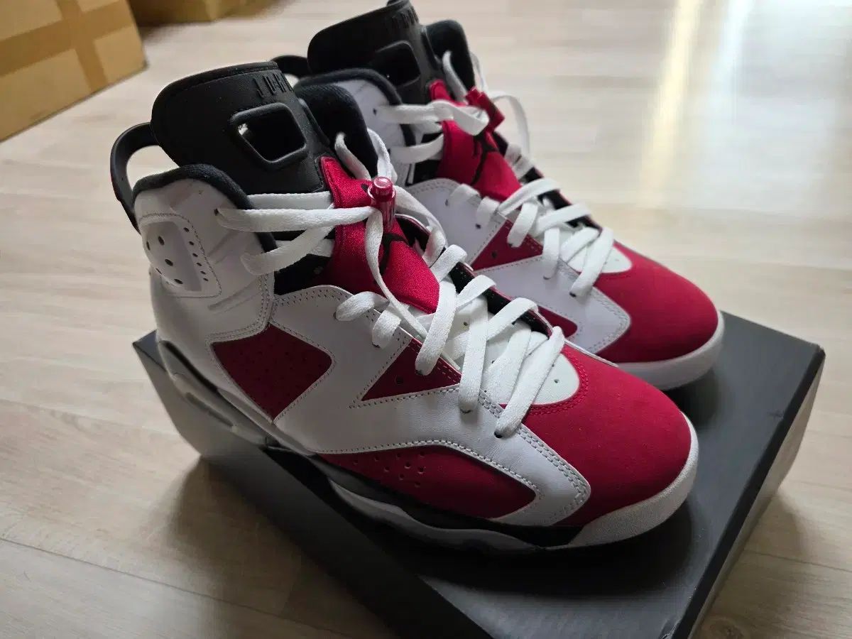 ナイキ ジョーダン6 カーマイン 2021 285 mm