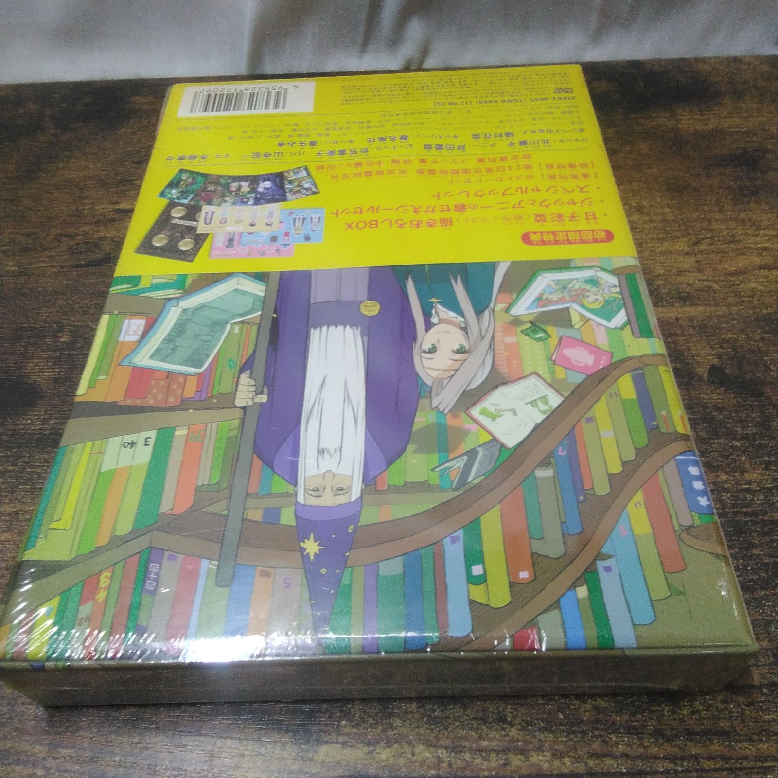 DVDビデオ メディアファクトリー アニメ マジック・ツリーハウス 未