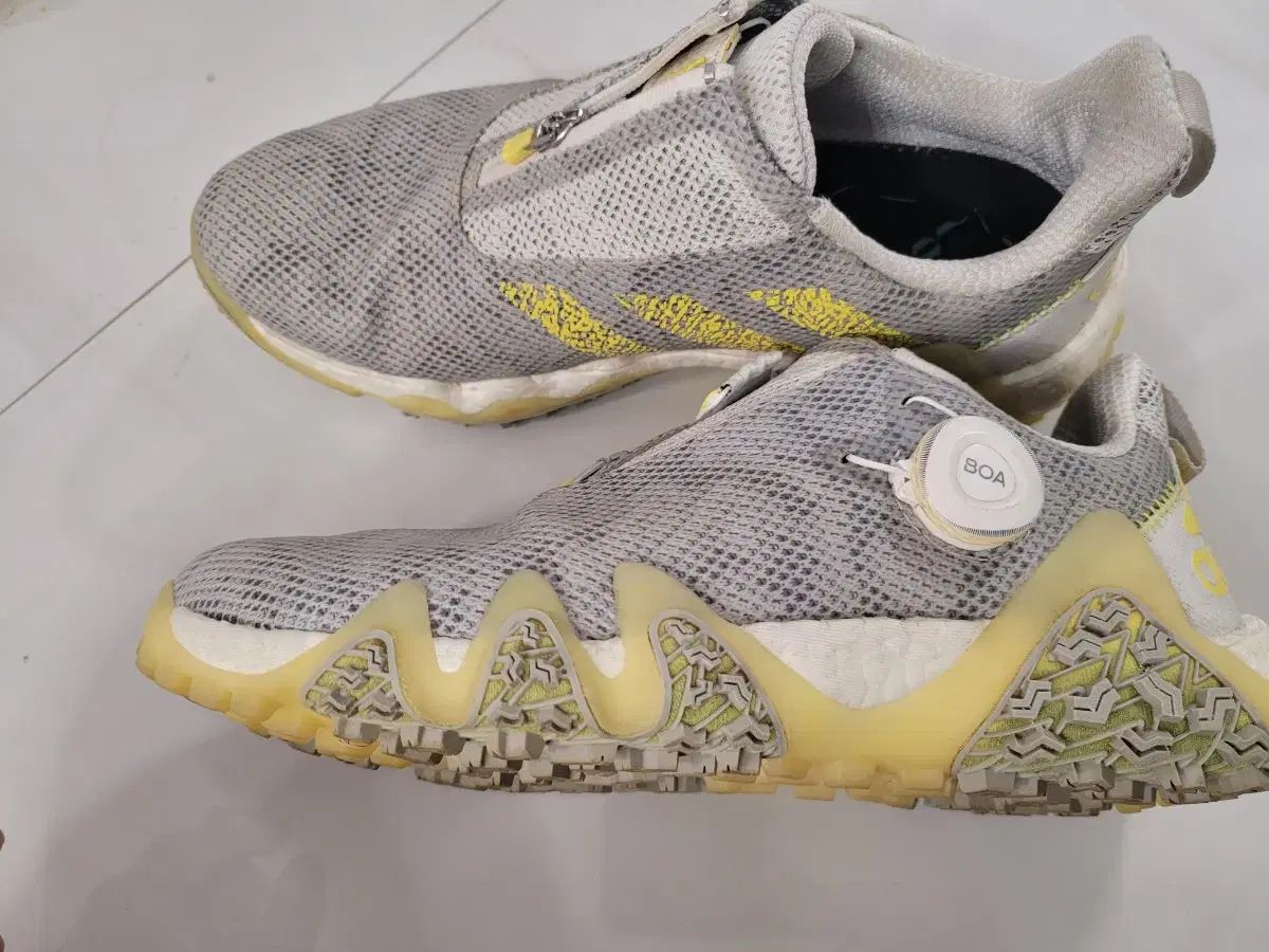 アディダス コードカオス ボア ゴルフシューズ 255