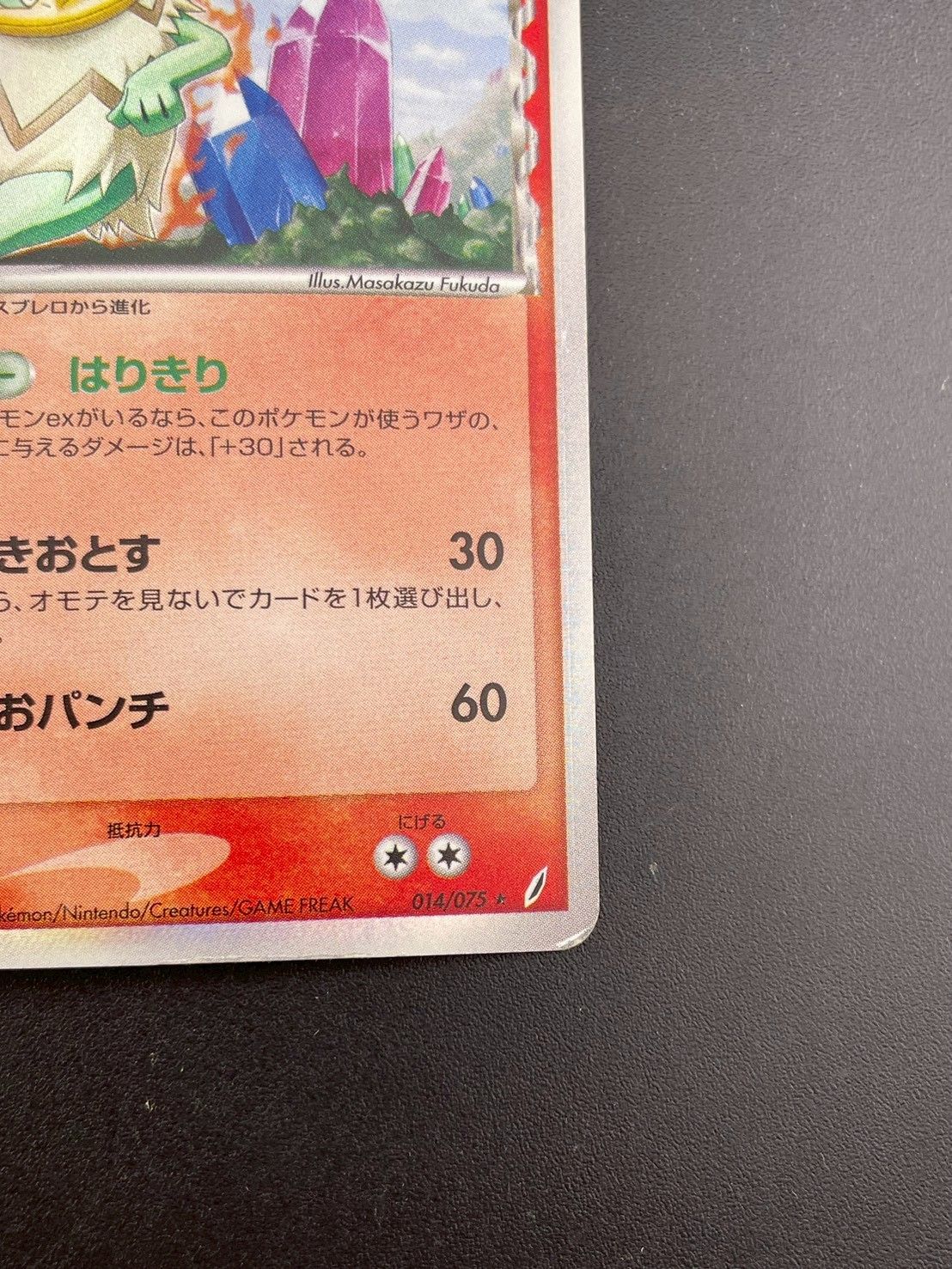 中古品】 ルンパッパ デルタ種 014/075☆ PCGシリーズ 拡張パック き