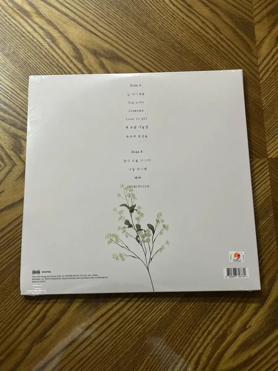 The Black Skirts コムジョンチマ チームベビー LP