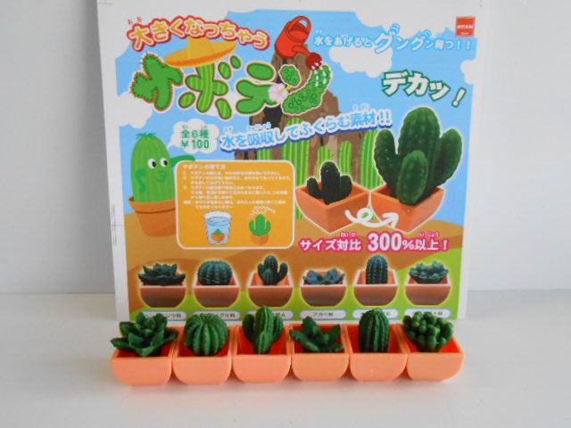 ♯Jzi06AZ大きくなっちゃうサボテン全6種 - メルカリ