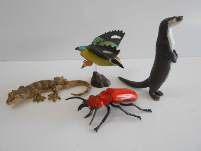 ♯Jyi18HKカプセルQミュージアム日本の動物4四国編8種 ♯Jyi18HKカプセルQミュージアム日本の動物4四国編8種 | Pay ID