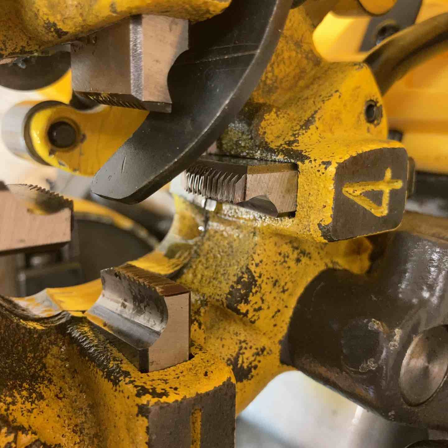 Rexstar レッキススター