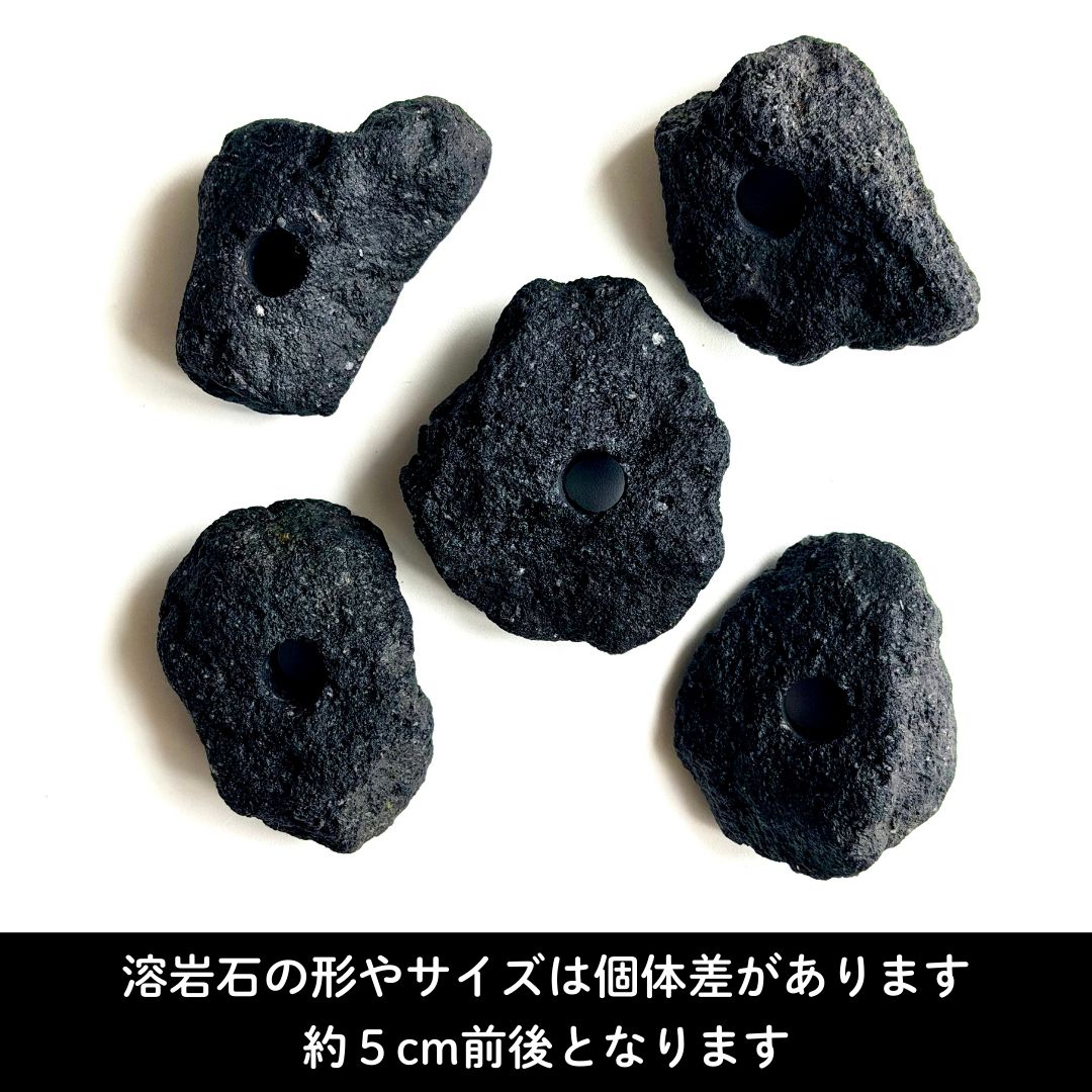 アクアリウム 溶岩石 5個 水草レイアウト用（穴あけ加工済） - メルカリ