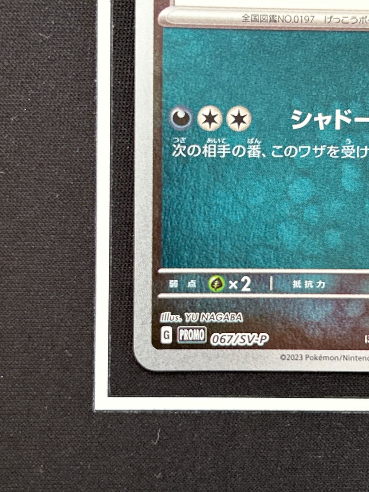 ブラッキー YU NAGABA①