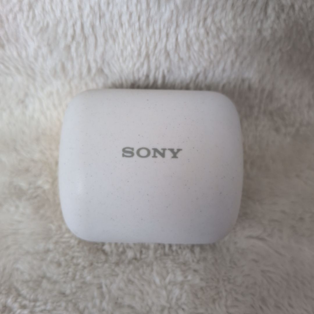 SONY ソニー LinkBuds WF-L900 WM 完全ワイヤレスイヤホン 小型軽量4.1