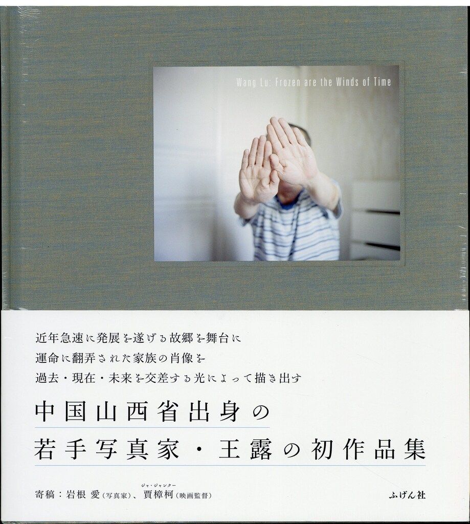 王露 Wang Lu Frozen are the winds of time