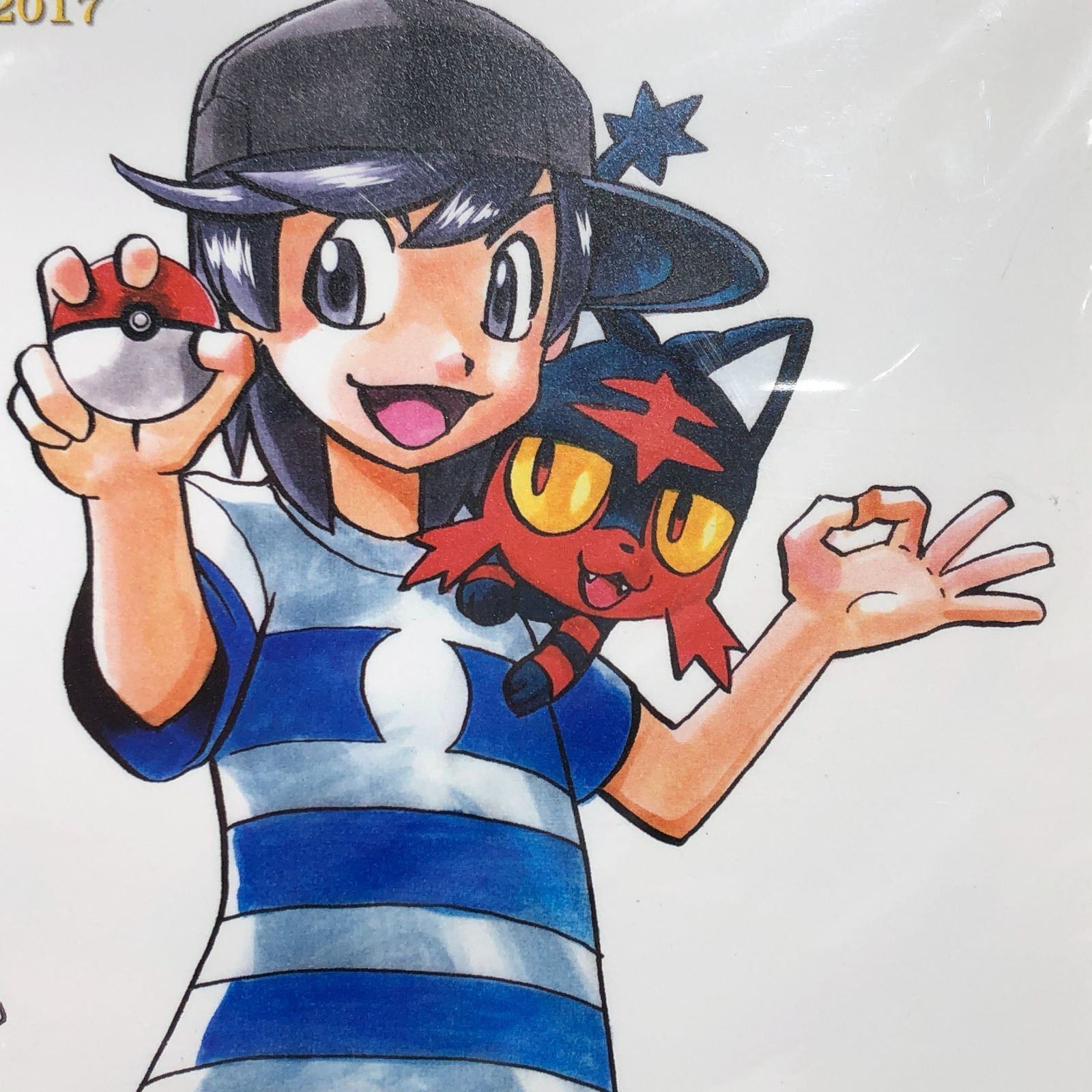 城東56-155】ポケSPedia ポケスペ 20thアニバーサリー 紙製額縁付き