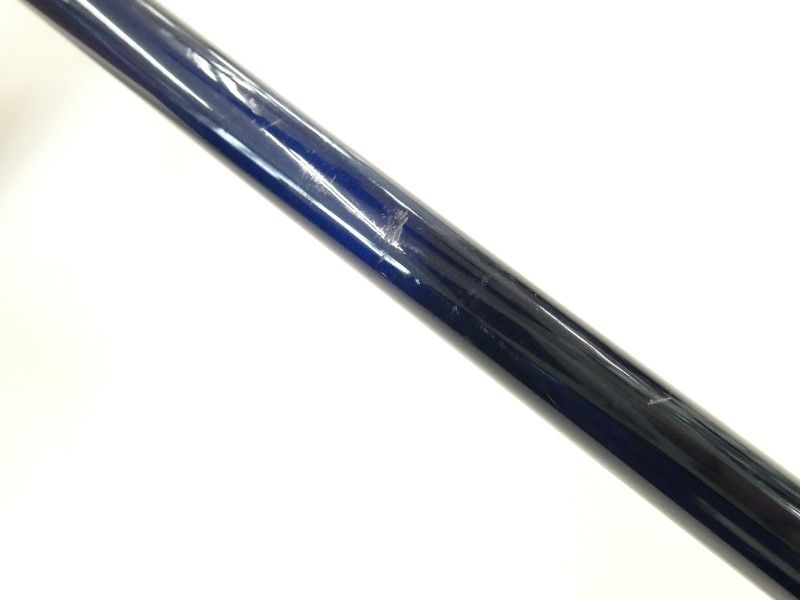 エバーグリーン ポセイドン