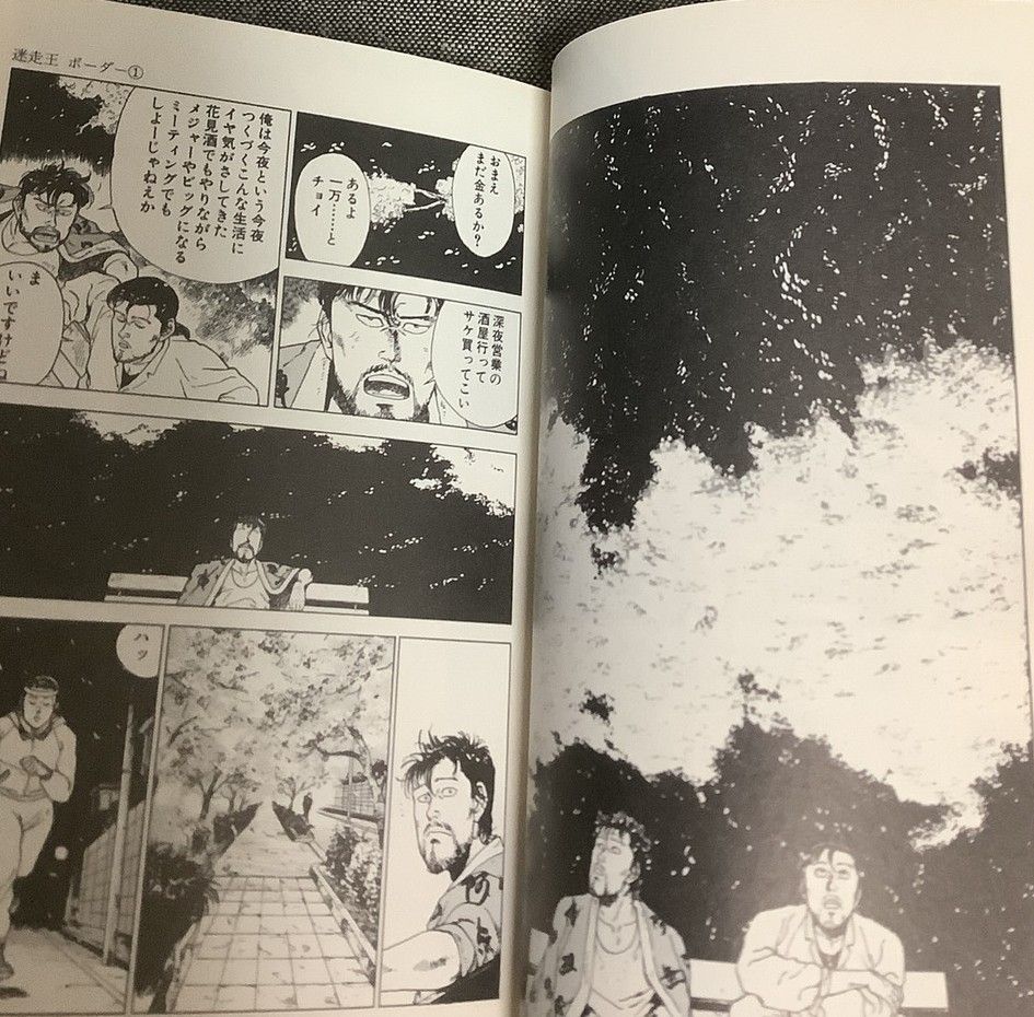 迷走王 ボーダー 8巻セット 狩撫 麻礼 (原作) たなか亜希夫（画） 双葉