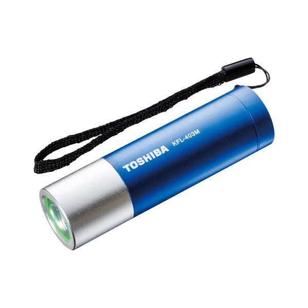 まとめ 東芝 ミニカラーLEDライト ブルー ×