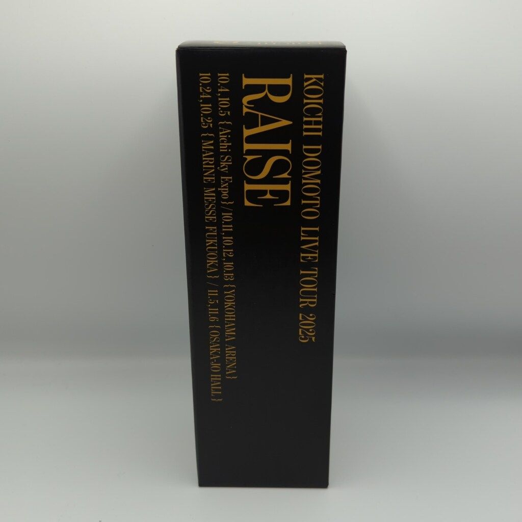 Kinki Kids 堂本光一 LIVE TOUR 2025 ペンライト 2本 KinKi Kids KOICHI DOMOTO LIVE TOUR 2025 RAISE 堂本光一 ペンライト