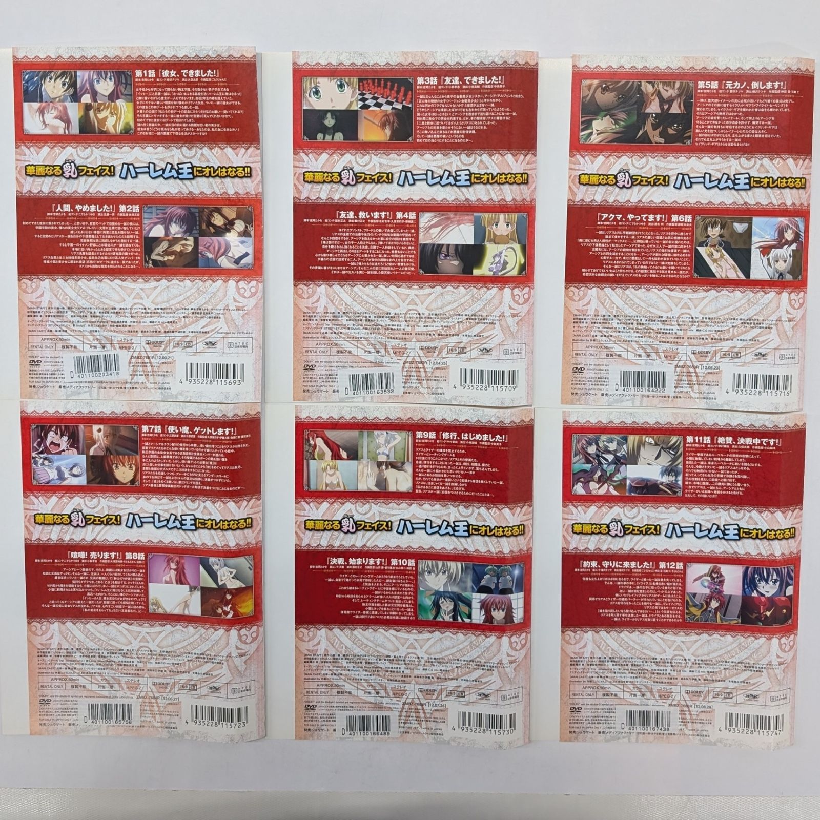 ハイスクールD×D DVD TV版全24巻 - メルカリ