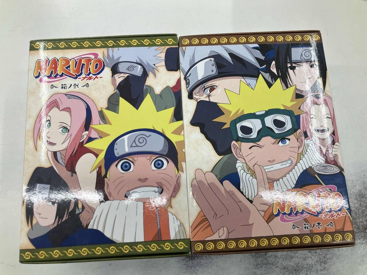 グラキリス 購入 現地球 鶴仙園 関口貴仁 セキグチタカヒト