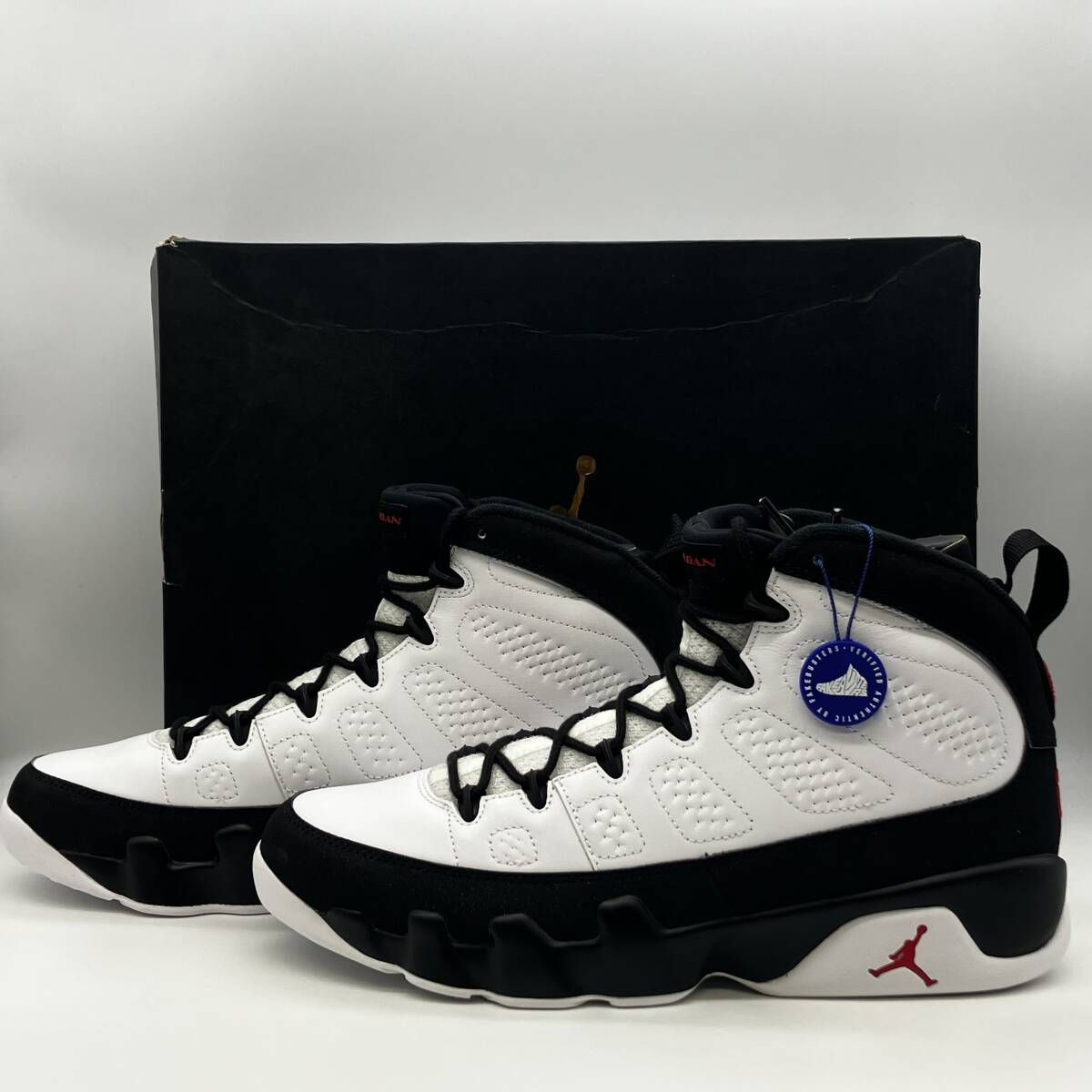NIKE AIR JORDAN 9 RETRO SPACE JAM 2016 ナイキ エアジョーダン 9