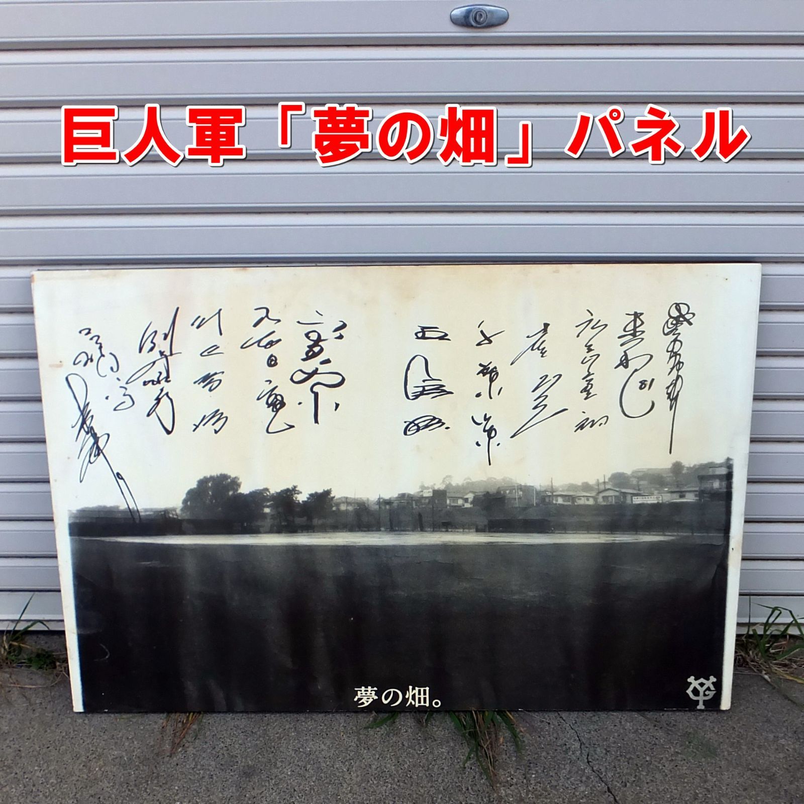 R 653 巨人軍 夢の畑 パネル 60 cm×90 cm 5