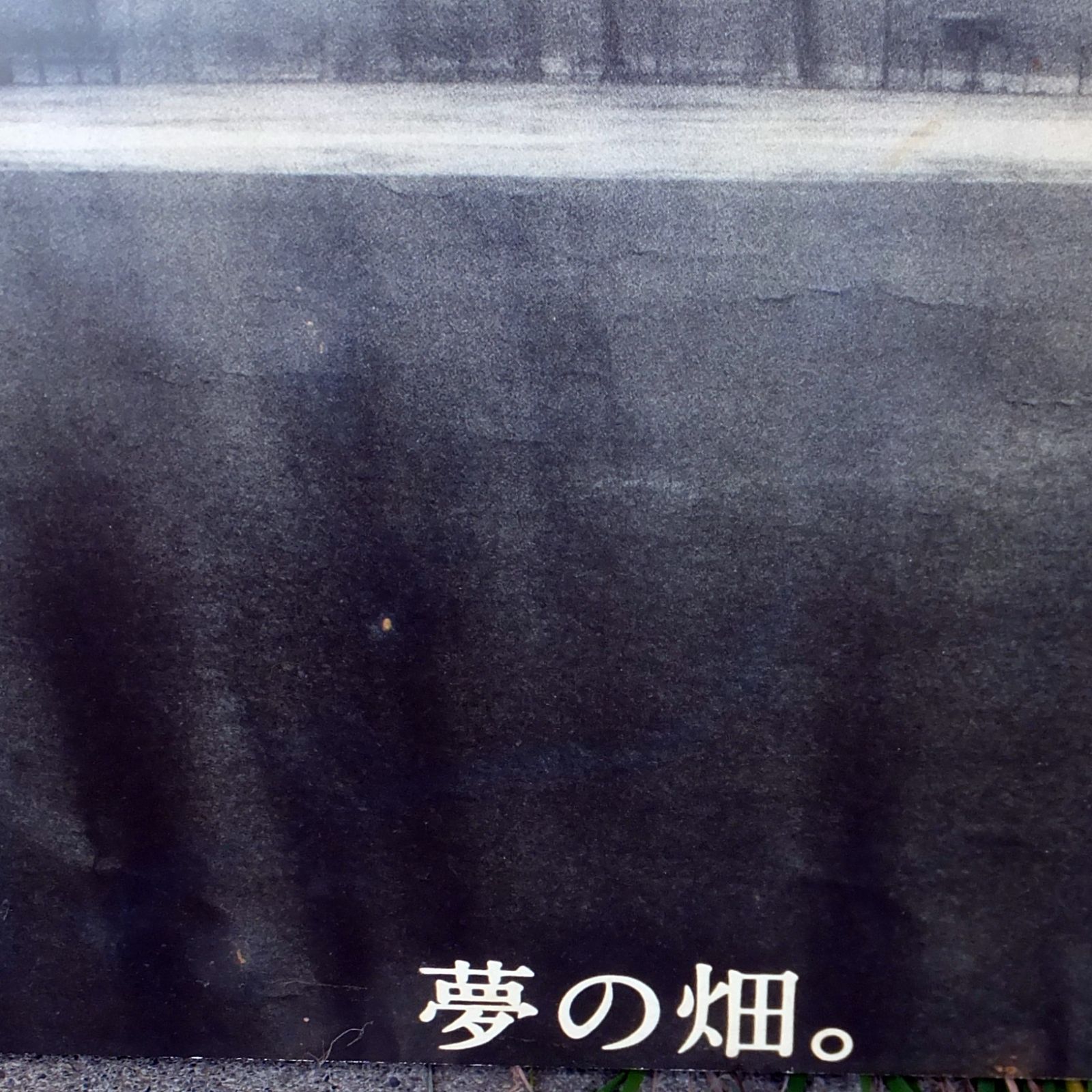  R 653 巨人軍 夢の畑 パネル 60 cm×90 cm 5 記念グッズ 野球