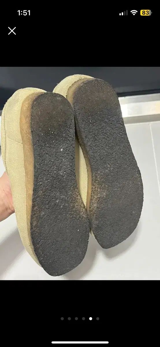 クラークス ワラビー