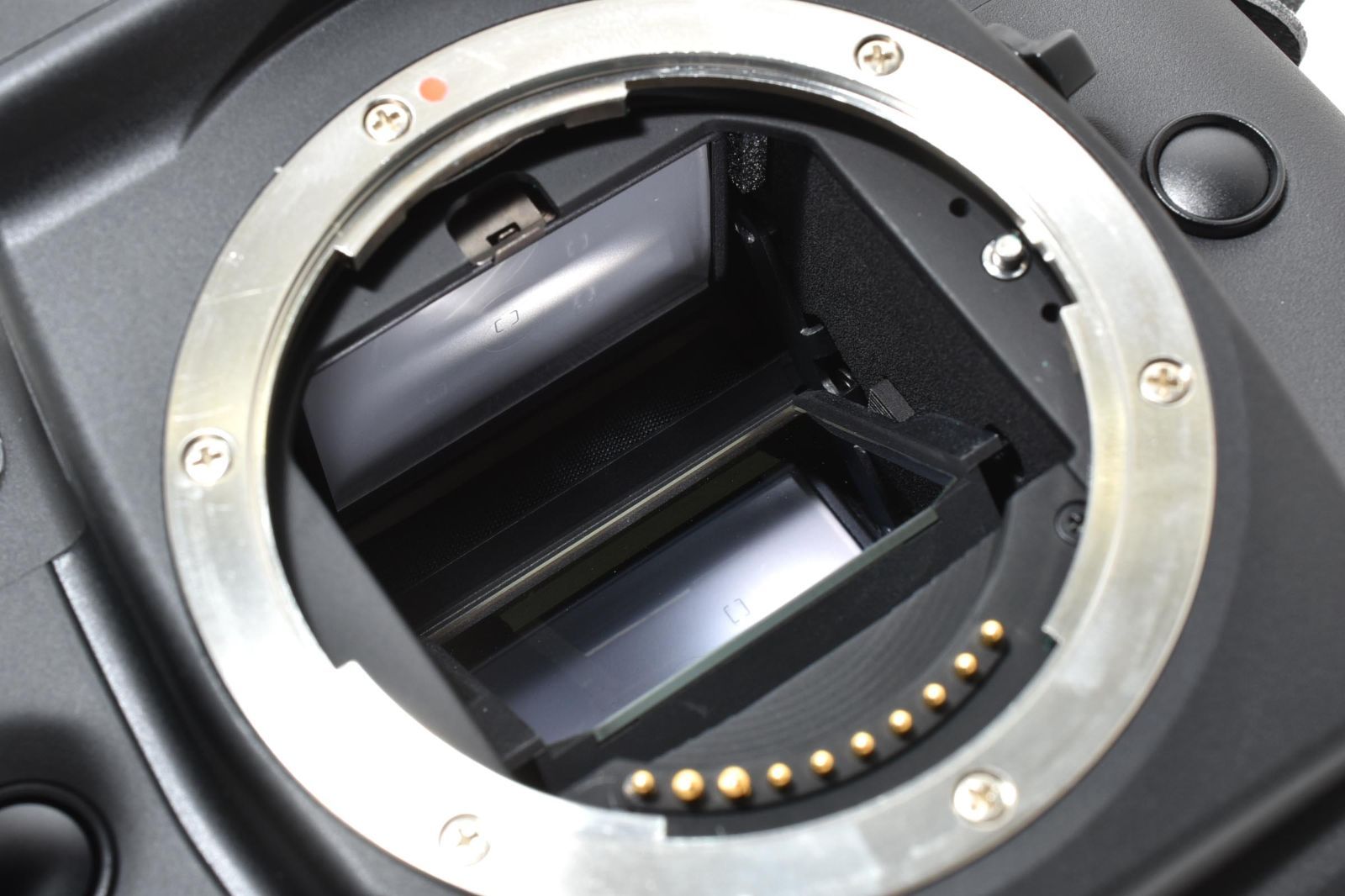 CONTAX 　コンタックス　N1 ボディ Amazon | CONTAX コンタックス N1 ボディ | 一眼レフカメラ 通販