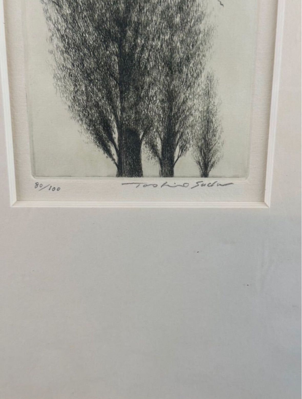 須田敏夫 「樹」銅版画 メゾチント 直筆サイン エスタンプ 日本版画