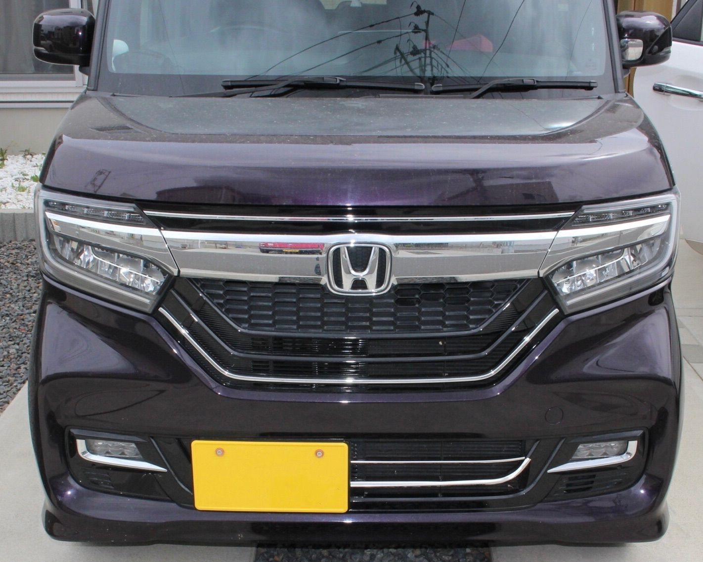 特大モンスター 乱れトゲ 乱舞 変わりイボ