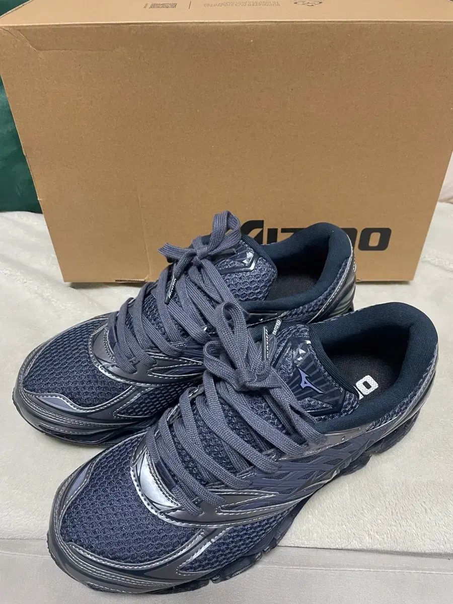 ミズノ ウェーブ プロフェッショナル LS 270 mm