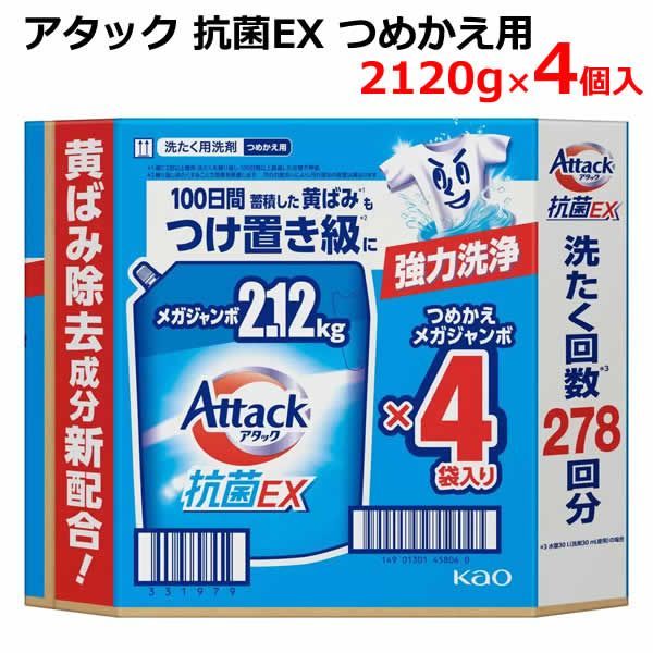 アート・写真 金銀彩 牡丹画 額装品
