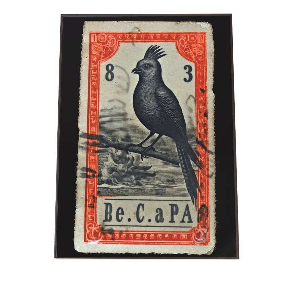 鮎川麻弥 オリジナルアルバムCD9枚セット 販売終了品 最高 シティ