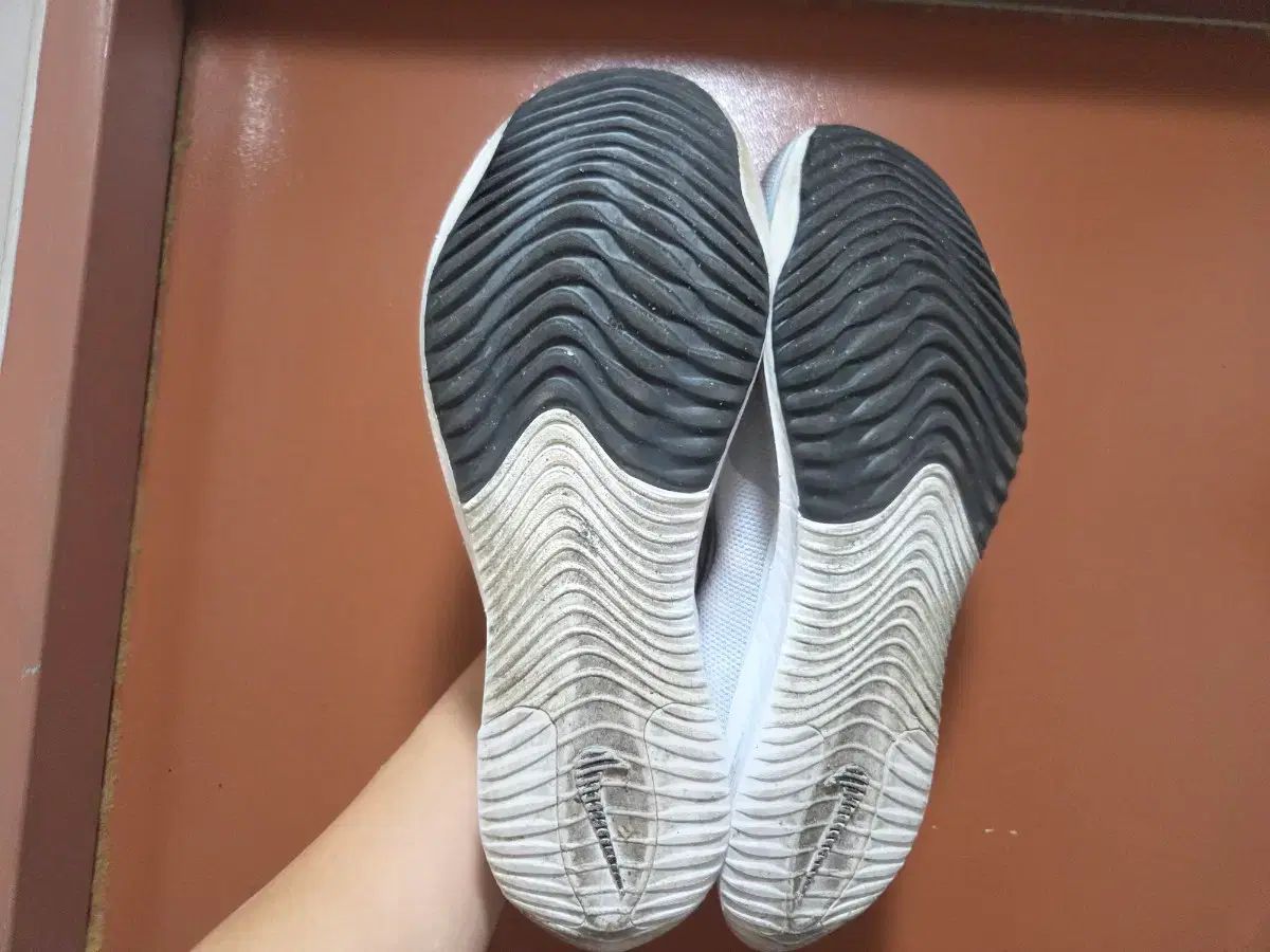 ナイキ ズームX ストリークフライ 白 メタリックシルバー 270