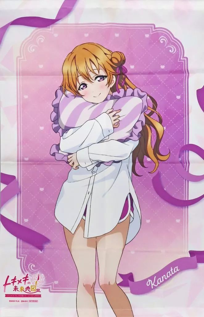 高品質，100%新品 【中古】タペストリー 近江彼方 描き下ろしB2タペストリー 「Switchソフト ラブライブ! 虹ヶ咲学園スクールアイドル同好会 トキメキの未来地図」 ビックカメラ購入特典 タペストリー