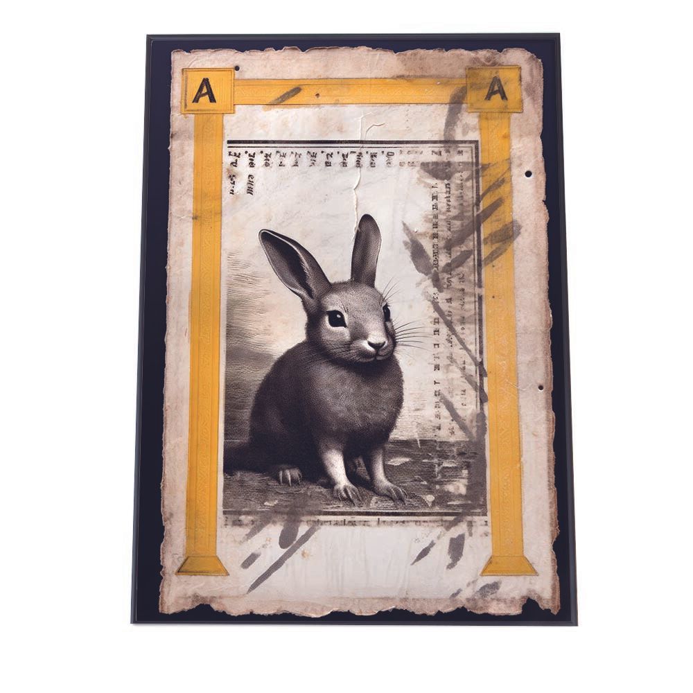 新品 ミキハウス うさこ ダウンジャケット 100 福袋 限定 サーカス団