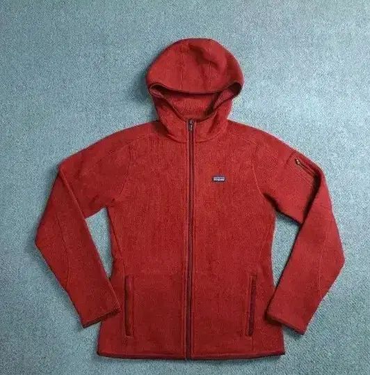 パタゴニア ゲターセーターフーディ レディース