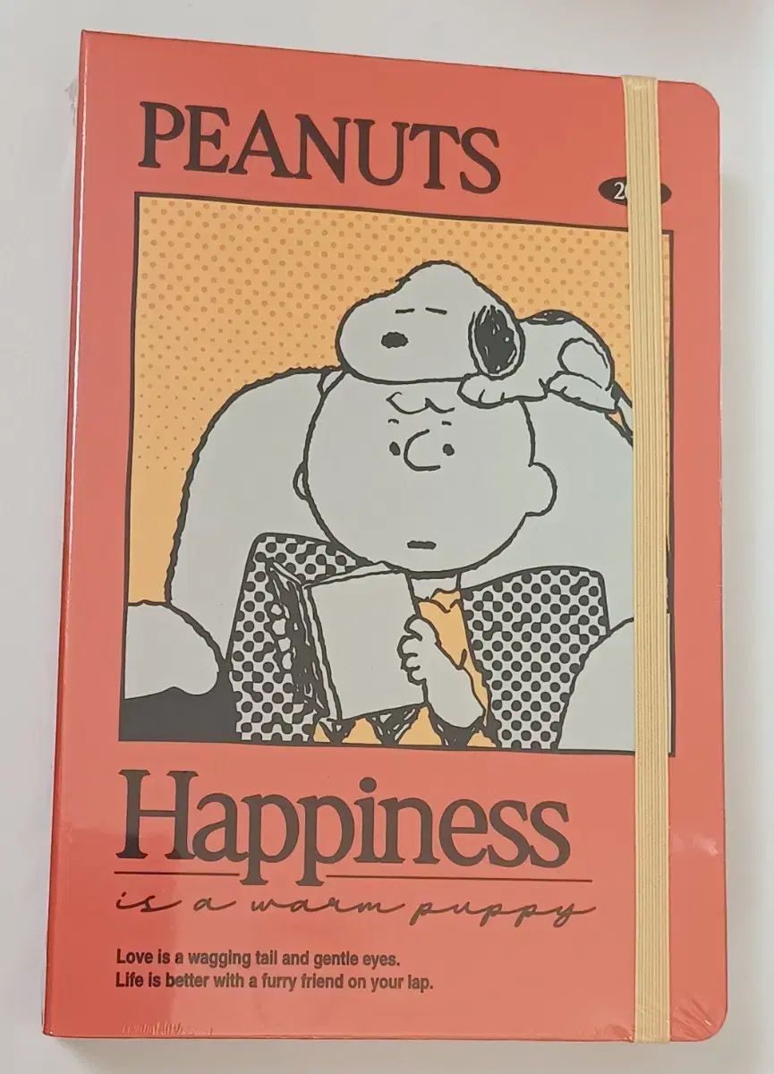 直筆サイン付き】 グレイシーエイブラムス Gracie CD ストラップ