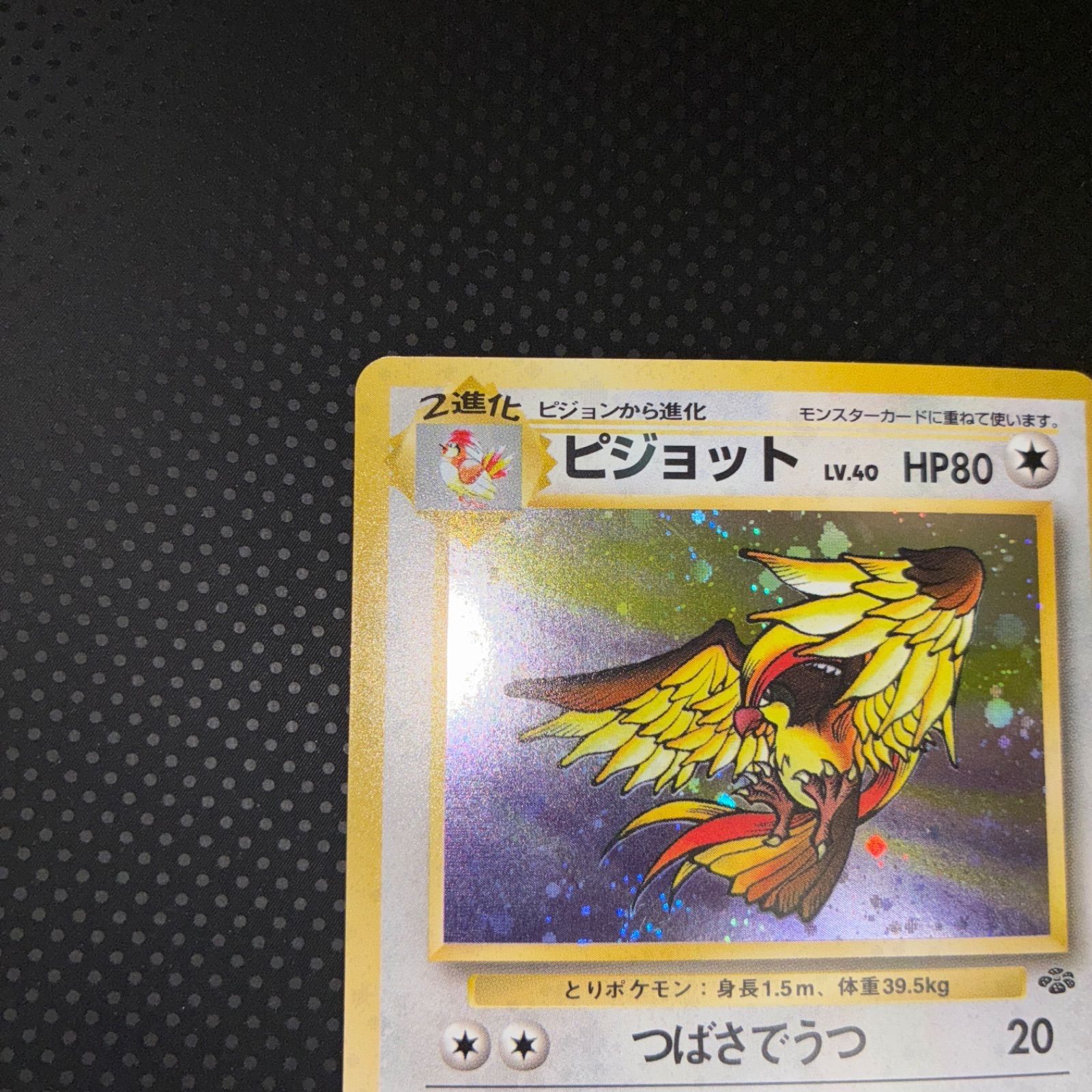 PSA9 旧裏 ピジョット ① ポケモンカード ピジョット PSA9 旧裏【全面