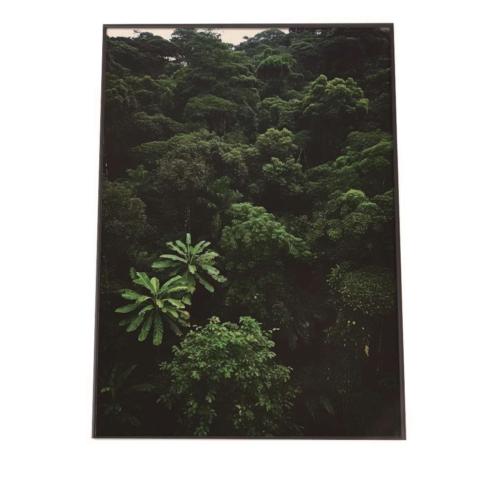 A1サイズ（約59x84cm）】【lh-poster-1725】【フレーム付き】ポスター