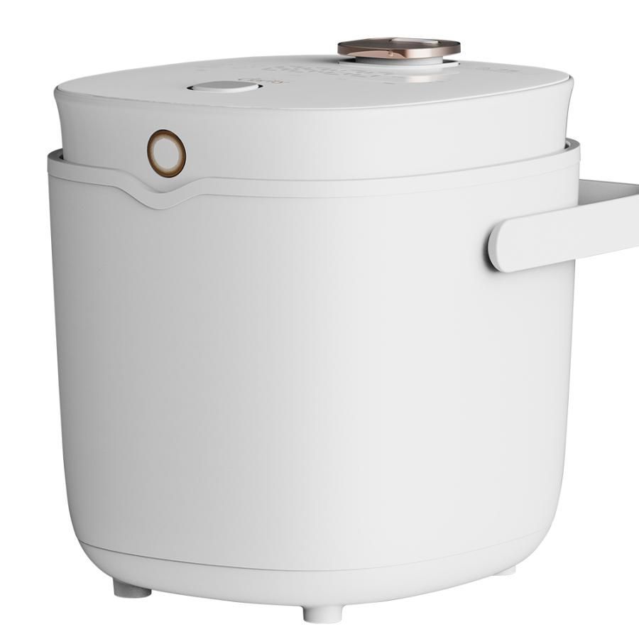 早炊きマルチクッカー ホワイト 5合炊き マイコン式 r 2250 WH アレティ ていとうシェフ