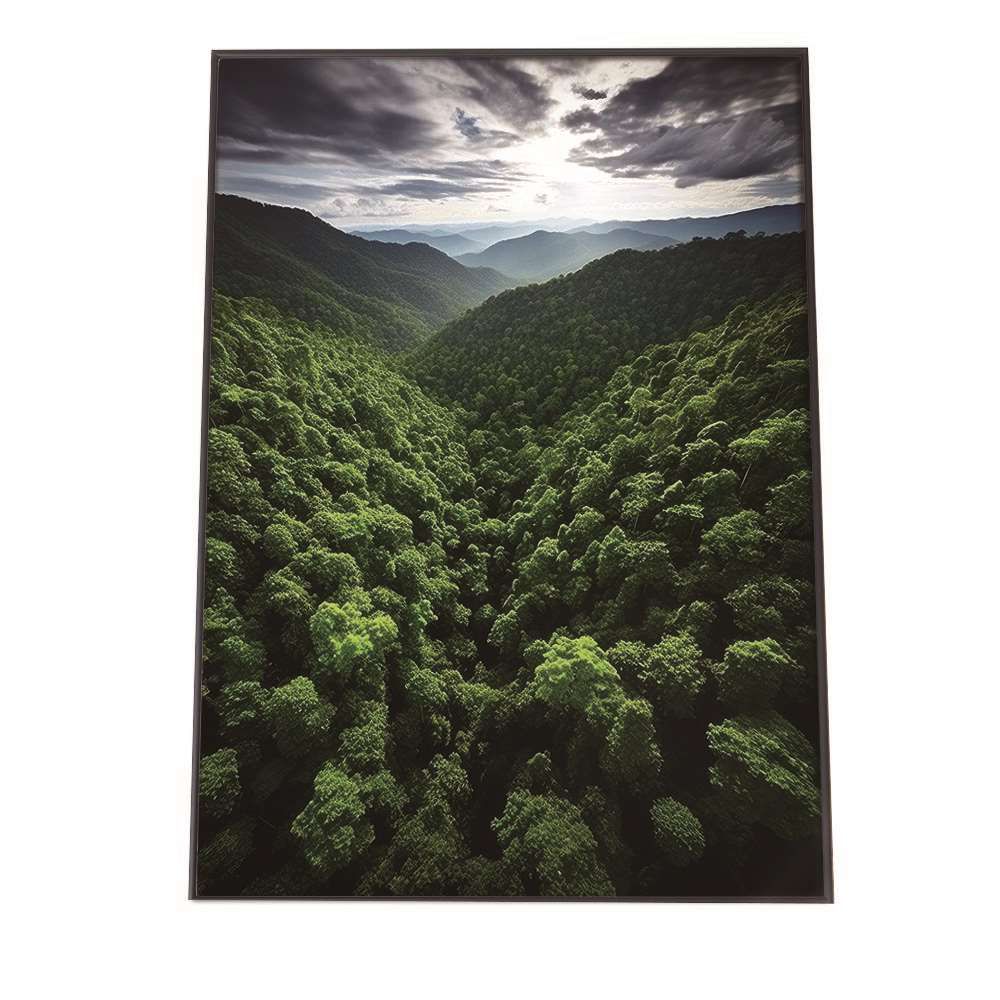 B2サイズ（約51x73cm）】【lh-poster-1755】【フレーム付き】ポスター