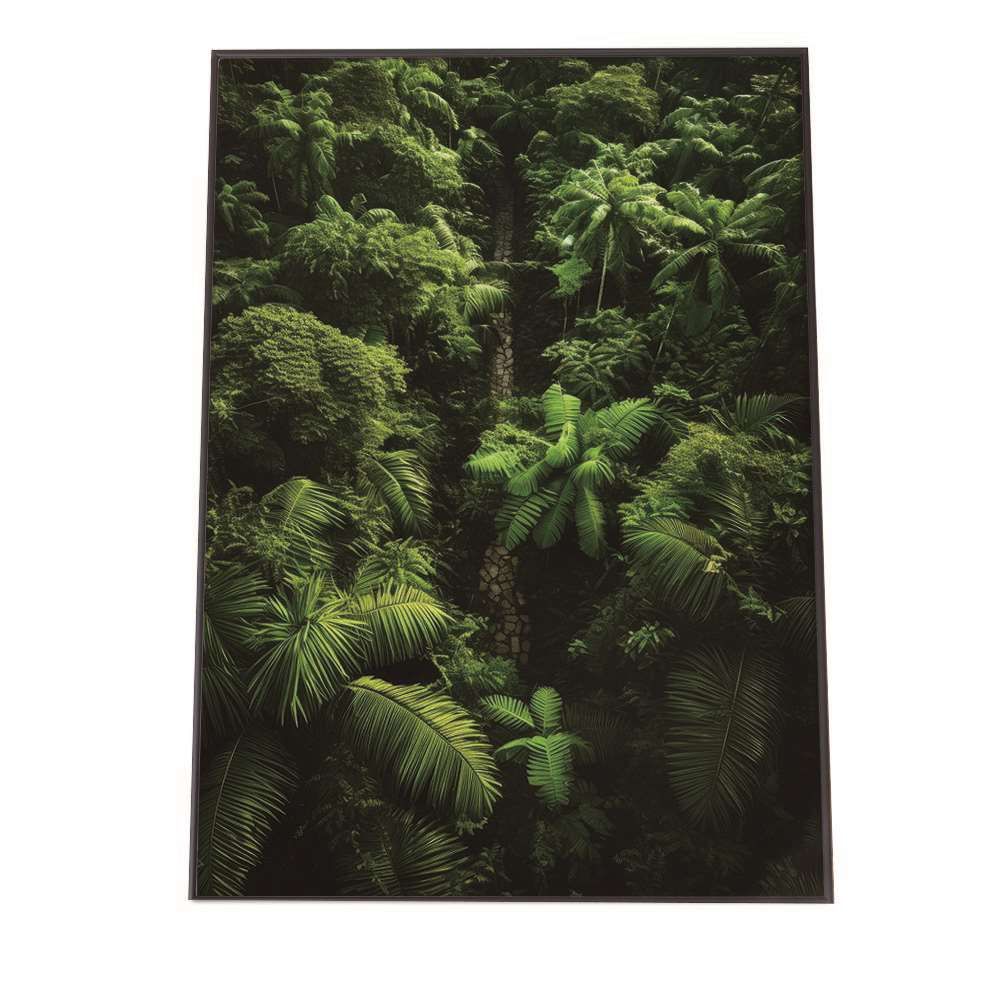 【A2サイズ（約42x59cm）】【lh-poster-1760】【フレーム付き】ポスター ジャングル 植物 景色 上空映像 緑 自然 森 林 木 草 葉っぱ
