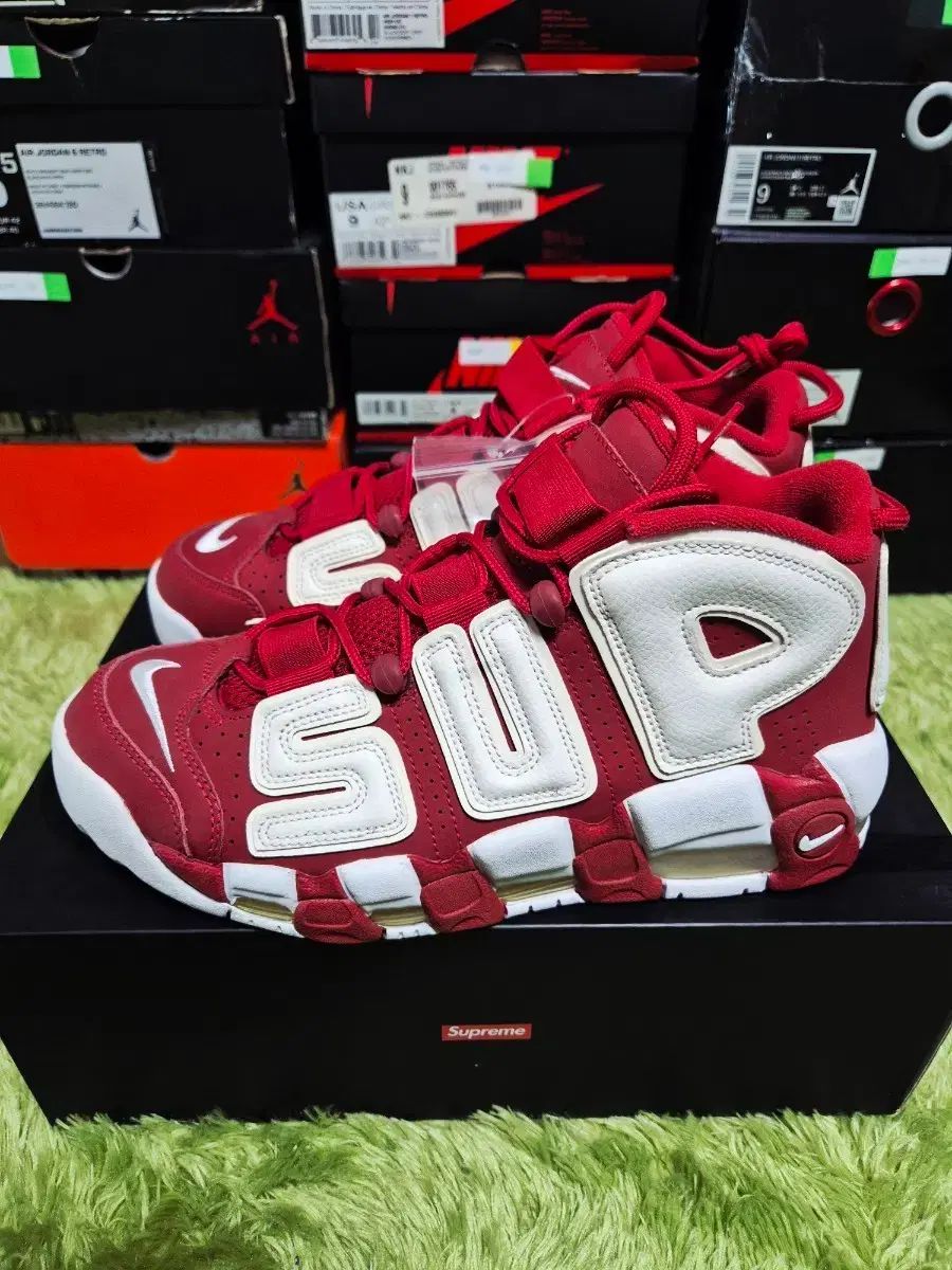 アップテンポ シュプリーム レッド 265 mm