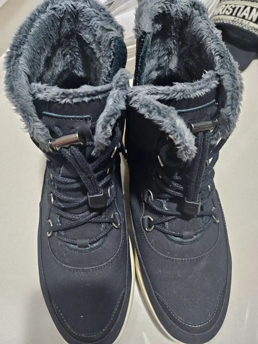 STRIDER 12 限定カラー【サファリ】　プロテクター付き STRIDER 12 限定カラー【サファリ】 プロテクター付き