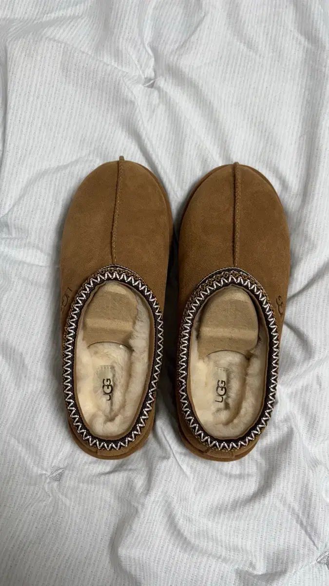 MEN シグネチャースウェード アグ タスマンスリッパ タスマン II チェス