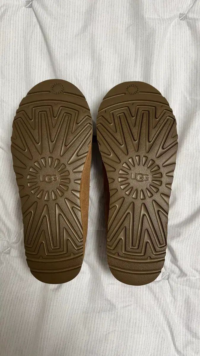 シグネチャースウェード アグ