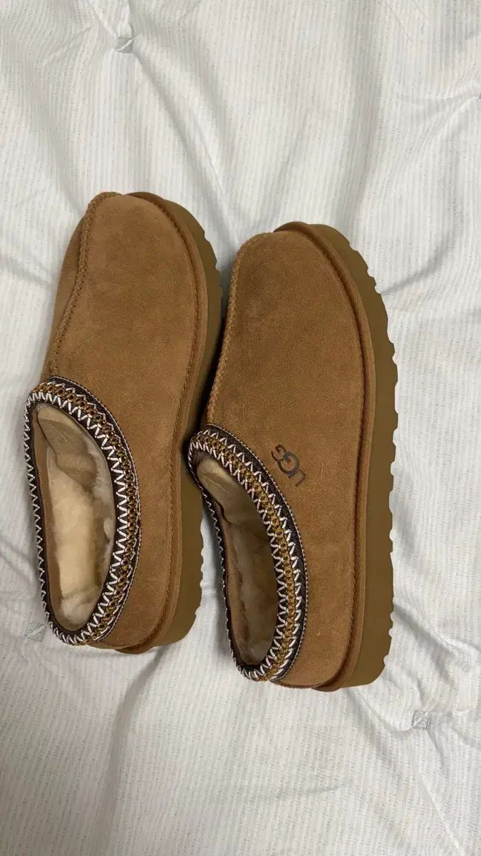 MEN シグネチャースウェード アグ タスマンスリッパ タスマン II チェス